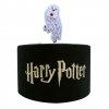 PME Szablon Do Ciasta Harry Potter